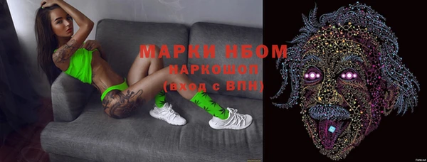 стафф Надым