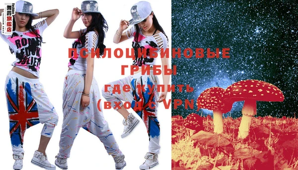 стафф Надым