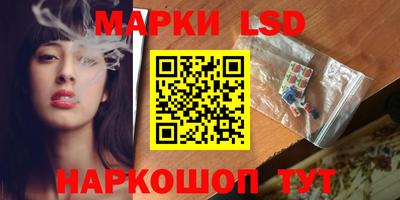 МДПВ Гай