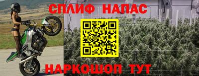 спайс Гатчина