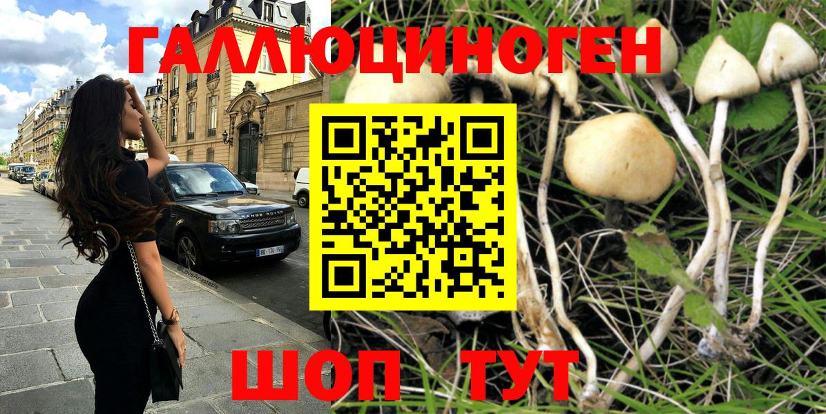 Псилоцибиновые грибы MAGIC MUSHROOMS  Вход с VPN  купить наркотики цена  Донской 